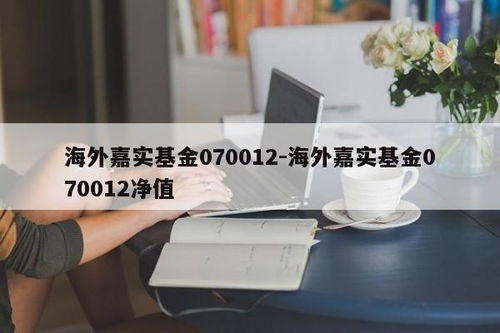海外嘉實基金070012 凈值解析與計算機維修服務(wù)的跨界思考
